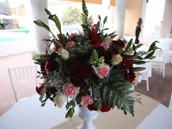 terraza eventos sociales irapuato Guanajuato